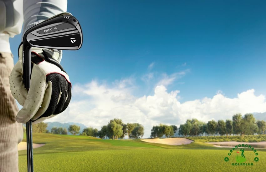 Testing the TaylorMade P790 and P770 Irons