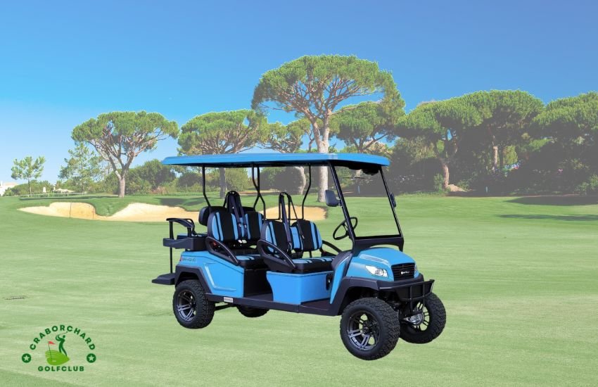 Bintelli golf carts 